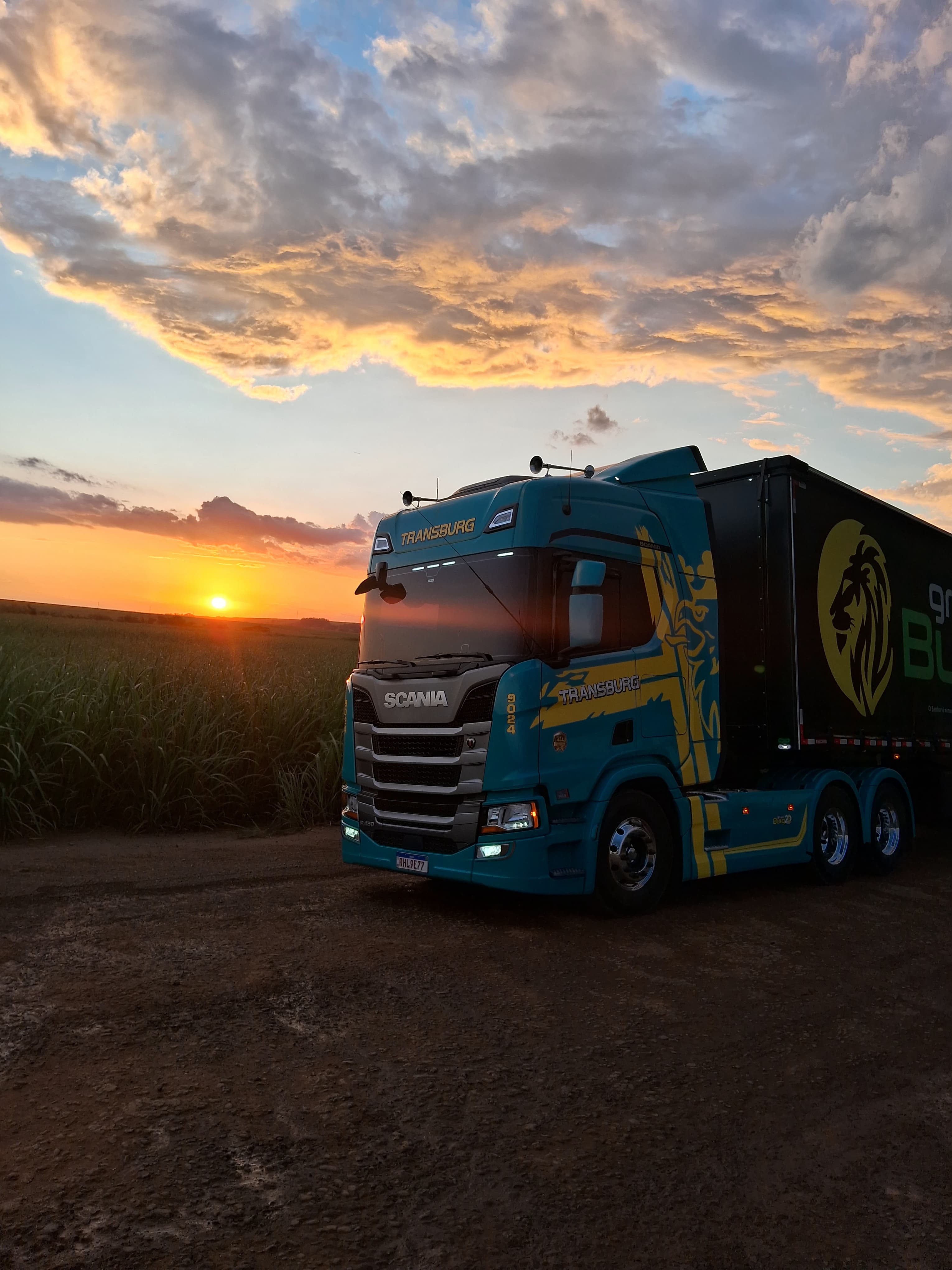 Foto da frota de caminhões da Transburg