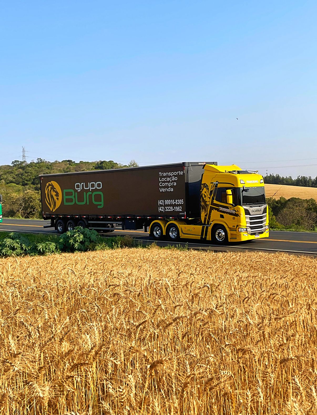 Foto de uma rodovia com um campo de trigo ao lado. Há um caminhão na estrada com a logo Grupo Burg